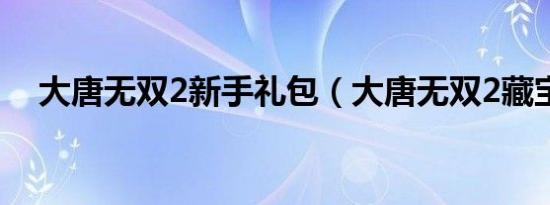 大唐无双2新手礼包（大唐无双2藏宝图）
