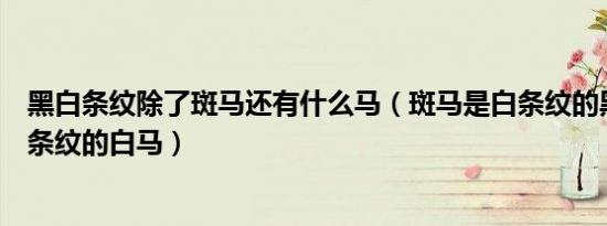 黑白条纹除了斑马还有什么马（斑马是白条纹的黑马还是黑条纹的白马）