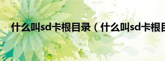 什么叫sd卡根目录（什么叫sd卡根目录）