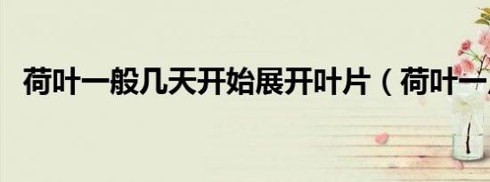 荷叶一般几天开始展开叶片（荷叶一点通）