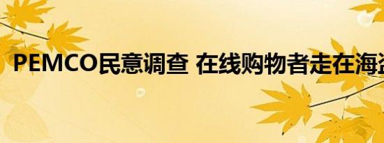 PEMCO民意调查 在线购物者走在海盗门前