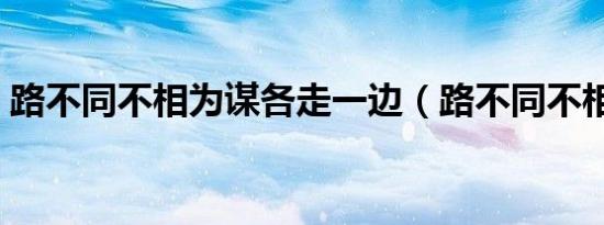 路不同不相为谋各走一边（路不同不相为谋）