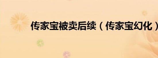 传家宝被卖后续（传家宝幻化）