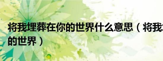 将我埋葬在你的世界什么意思（将我埋葬在你的世界）