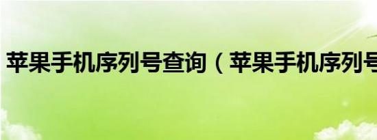 苹果手机序列号查询（苹果手机序列号查询）
