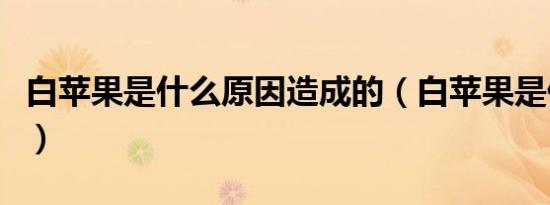 白苹果是什么原因造成的（白苹果是什么意思）