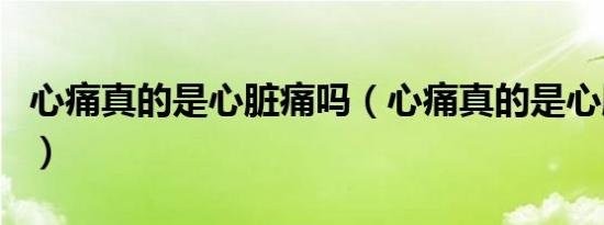 心痛真的是心脏痛吗（心痛真的是心脏在痛吗）