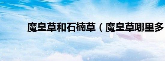 魔皇草和石楠草（魔皇草哪里多）