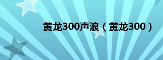 黄龙300声浪（黄龙300）