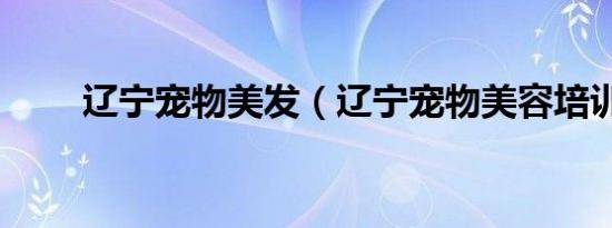 辽宁宠物美发（辽宁宠物美容培训）
