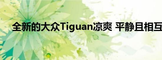 全新的大众Tiguan凉爽 平静且相互连接