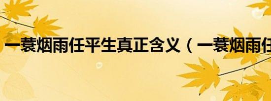 一蓑烟雨任平生真正含义（一蓑烟雨任平生）