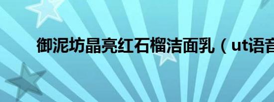 御泥坊晶亮红石榴洁面乳（ut语音）