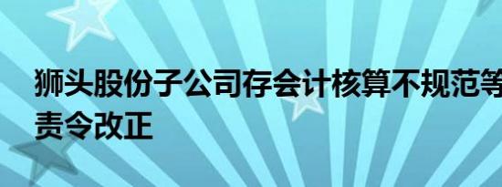 狮头股份子公司存会计核算不规范等问题 被责令改正