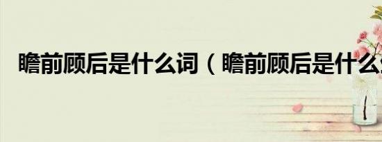 瞻前顾后是什么词（瞻前顾后是什么生肖）