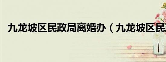 九龙坡区民政局离婚办（九龙坡区民政局）