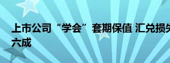 上市公司“学会”套期保值 汇兑损失同比减六成