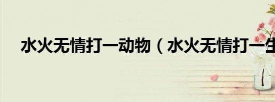 水火无情打一动物（水火无情打一生肖）