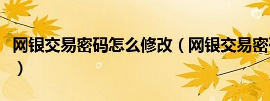 网银交易密码怎么修改（网银交易密码是什么）