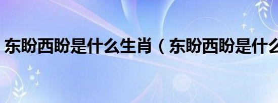 东盼西盼是什么生肖（东盼西盼是什么生肖）