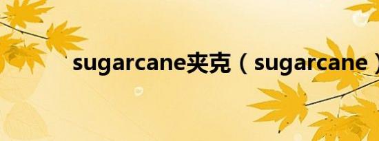 sugarcane夹克（sugarcane）