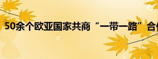 50余个欧亚国家共商“一带一路”合作发展