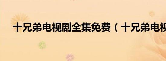 十兄弟电视剧全集免费（十兄弟电视剧）