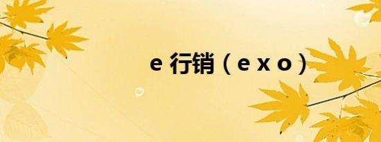 e 行销（e x o）
