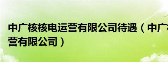 中广核核电运营有限公司待遇（中广核核电运营有限公司）