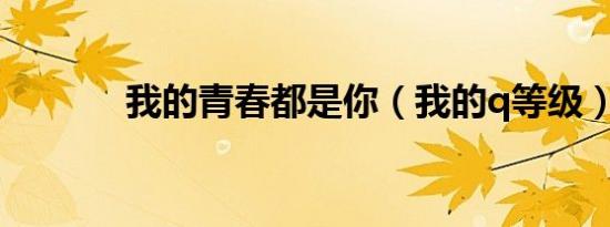 我的青春都是你（我的q等级）