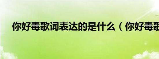 你好毒歌词表达的是什么（你好毒歌词）