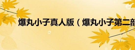 爆丸小子真人版（爆丸小子第二部）