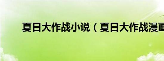 夏日大作战小说（夏日大作战漫画）