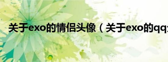 关于exo的情侣头像（关于exo的qq分组）
