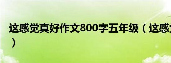 这感觉真好作文800字五年级（这感觉怎么样）
