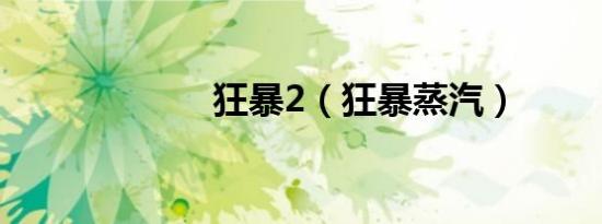 狂暴2（狂暴蒸汽）