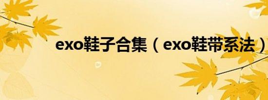 exo鞋子合集（exo鞋带系法）