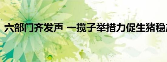 六部门齐发声 一揽子举措力促生猪稳产保供