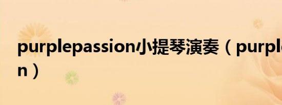 purplepassion小提琴演奏（purplepassion）