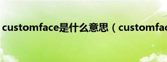 customface是什么意思（customface db）