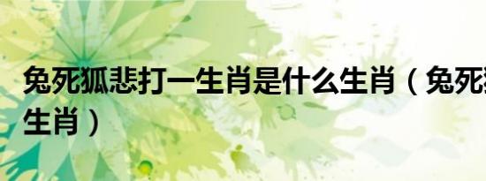 兔死狐悲打一生肖是什么生肖（兔死狐悲打一生肖）