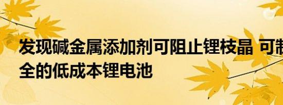 发现碱金属添加剂可阻止锂枝晶 可制成更安全的低成本锂电池