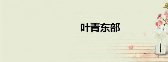 叶青东部