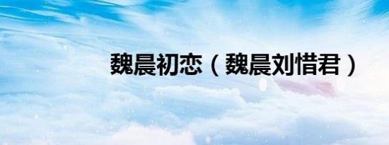 魏晨初恋（魏晨刘惜君）