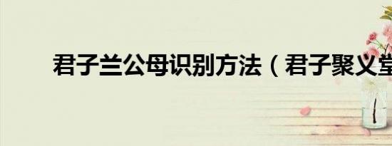 君子兰公母识别方法（君子聚义堂）