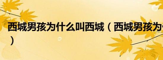 西城男孩为什么叫西城（西城男孩为什么解散）