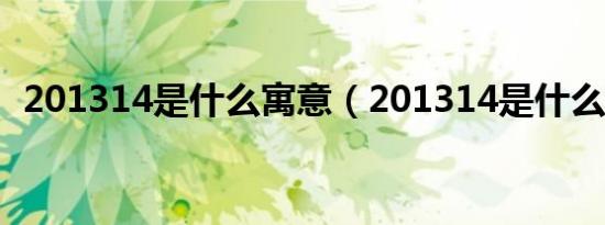 201314是什么寓意（201314是什么意思）