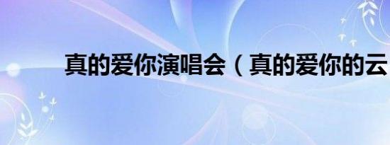 真的爱你演唱会（真的爱你的云）
