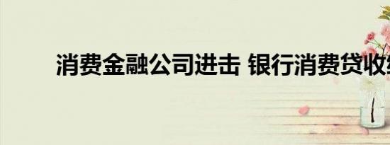消费金融公司进击 银行消费贷收缩