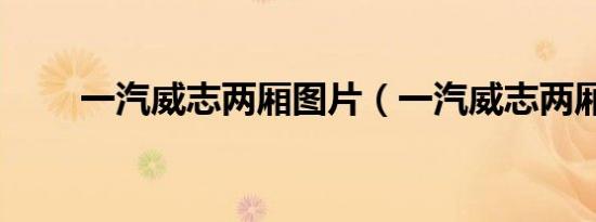 一汽威志两厢图片（一汽威志两厢）